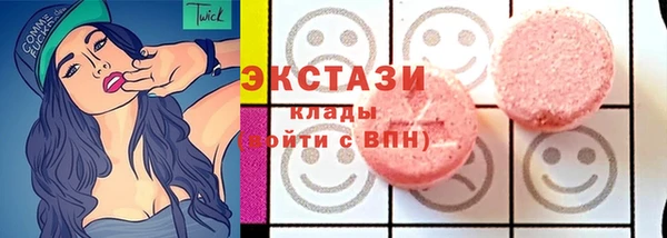 хмурый Аркадак