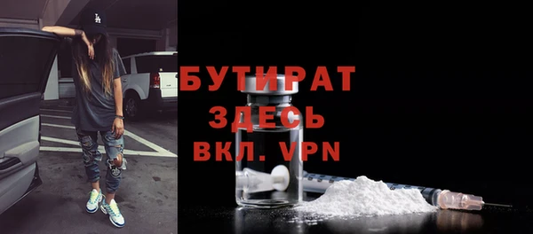 хмурый Аркадак