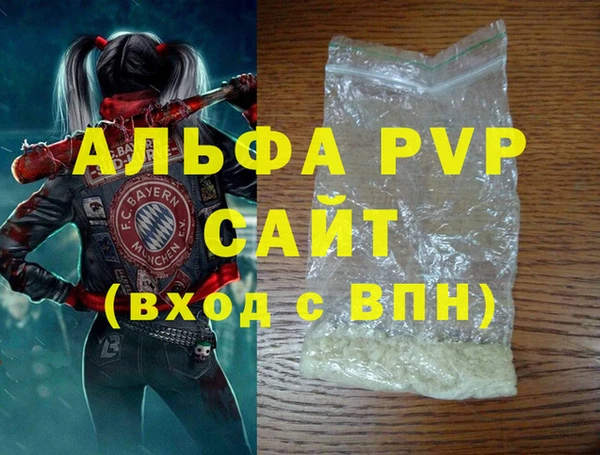 хмурый Аркадак
