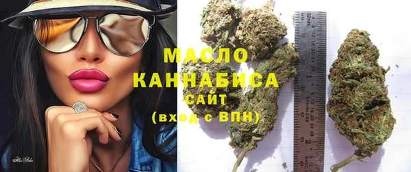 хмурый Аркадак