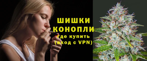 хмурый Аркадак